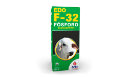 edof-32_ppal